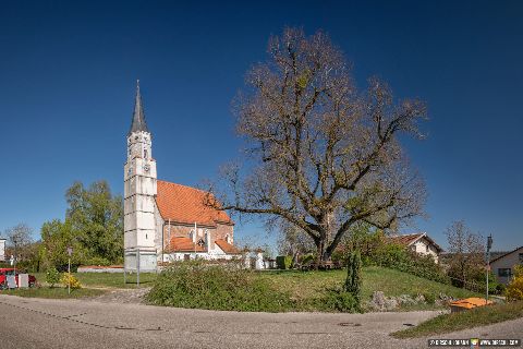 Gemeinde Waldkraiburg Landkreis Mühldorf Ebing Filialkirche St. Martin (Dirschl Johann) Deutschland MÜ